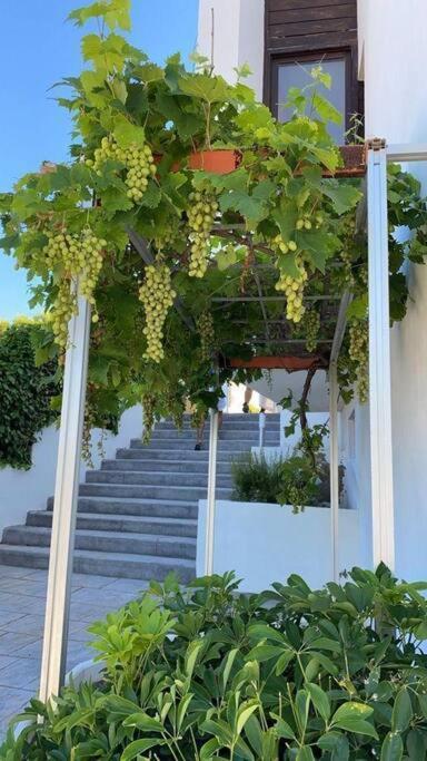 Villa En Oropesa Oropesa del Mar Esterno foto